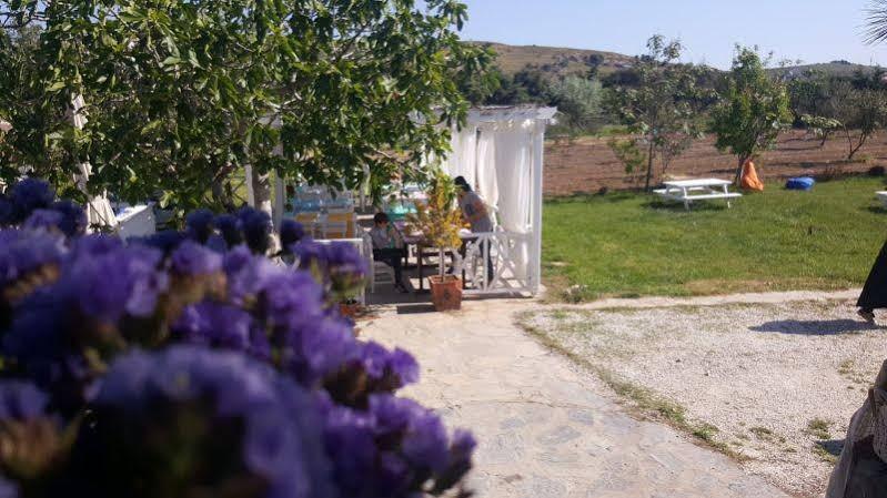 Madam Eleni Otel Bozcaada Dış mekan fotoğraf